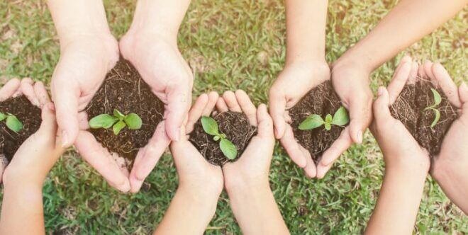 Multicultural hands of adult and children holding young plant over green grass background.