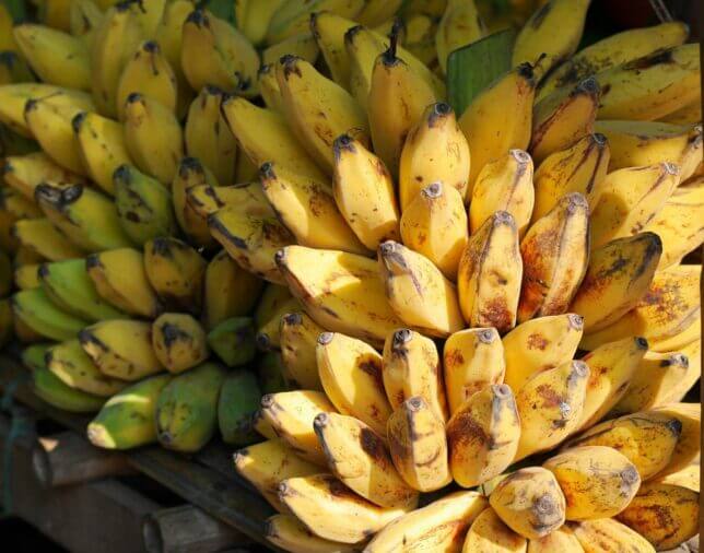 fair trade bananas